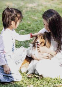 陪伴小動物