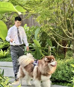 物業管理課程實踐學習