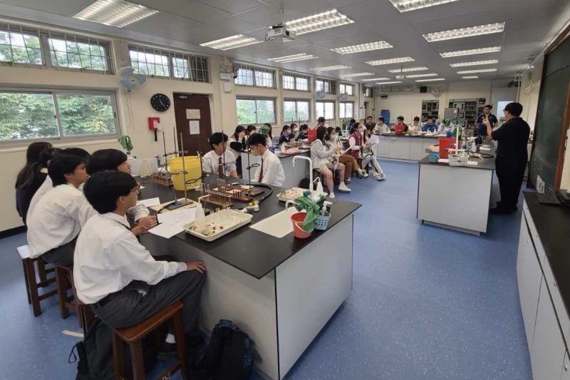 2026 DSE chem補習邊個好？連鎖名師配套&私補推薦全方位對比