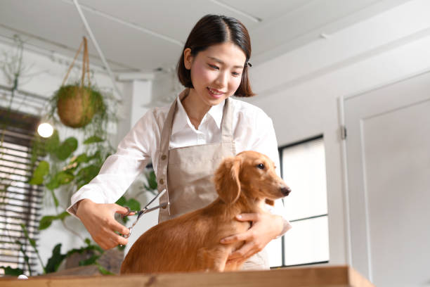 寵物美容證照