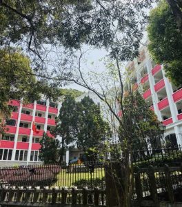 瑪利曼小學校園
